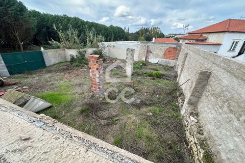 Villa i Juncal, Leiria, Juncal - € 160.000 | Ref: 364/M/01147 - foto 14