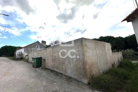 Villa i Juncal, Leiria, Juncal - € 160.000 | Ref: 364/M/01147 - foto 17