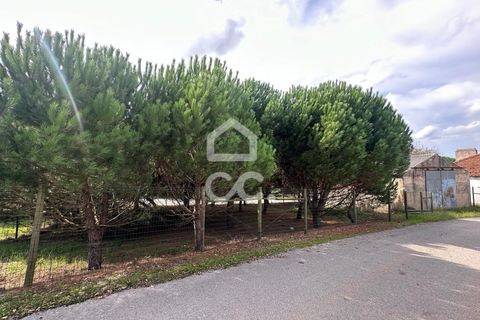 Villa i Juncal, Leiria, Juncal - € 160.000 | Ref: 364/M/01147 - foto 18
