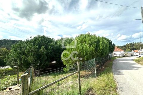 Villa i Juncal, Leiria, Juncal - € 160.000 | Ref: 364/M/01147 - foto 19