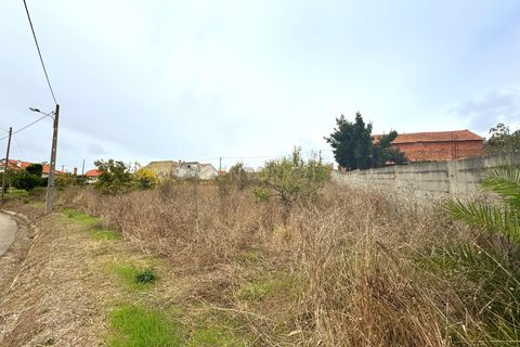 Helårsgrund i Alcobaca, Leiria, Alcobaca - € 110.000 | Ref: 1739-02017 - foto 3