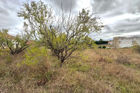 Helårsgrund i Alcobaca, Leiria, Alcobaca - € 110.000 | Ref: 1739-02017 - foto 4