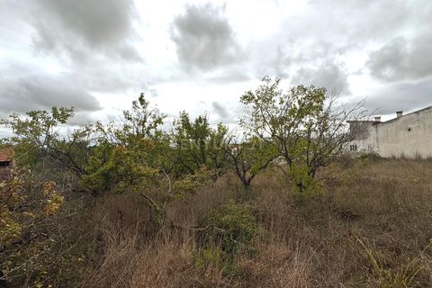 Helårsgrund i Alcobaca, Leiria, Alcobaca - € 110.000 | Ref: 1739-02017 - foto 6