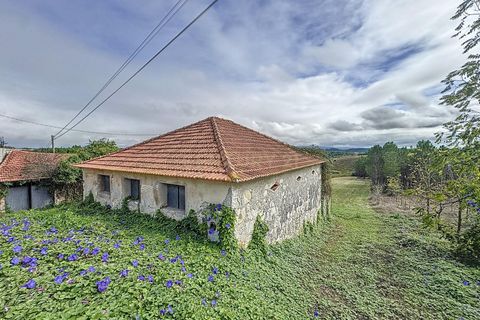 Helårsgrund i Alcobaca, Leiria, Alcobaca - € 90.000 | Ref: 1739-02016 - foto 1