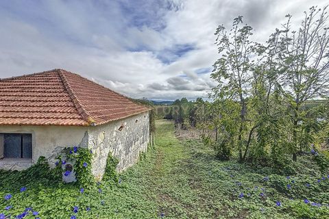 Helårsgrund i Alcobaca, Leiria, Alcobaca - € 90.000 | Ref: 1739-02016 - foto 2