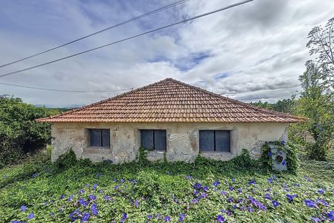 Helårsgrund i Alcobaca, Leiria, Alcobaca - € 90.000 | Ref: 1739-02016 - foto 3