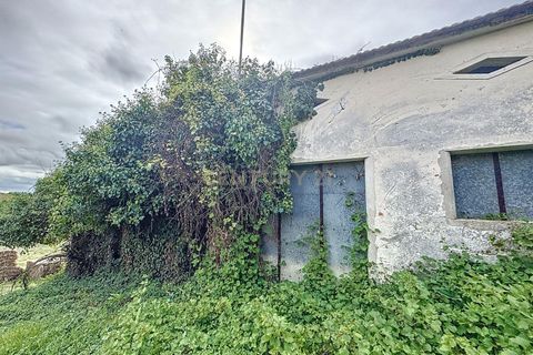 Helårsgrund i Alcobaca, Leiria, Alcobaca - € 90.000 | Ref: 1739-02016 - foto 6