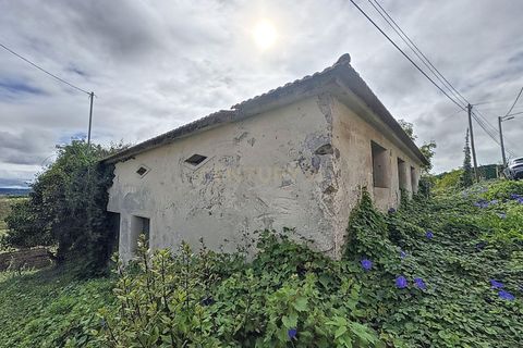 Helårsgrund i Alcobaca, Leiria, Alcobaca - € 90.000 | Ref: 1739-02016 - foto 7
