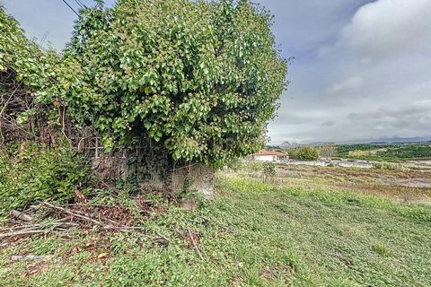 Helårsgrund i Alcobaca, Leiria, Alcobaca - € 90.000 | Ref: 1739-02016 - foto 8