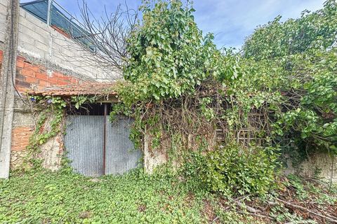 Helårsgrund i Alcobaca, Leiria, Alcobaca - € 90.000 | Ref: 1739-02016 - foto 10
