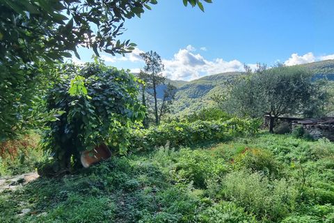 Villa a Pommiers, Gard, Pommiers - € 280.000 | Ref: 1373 - foto 7