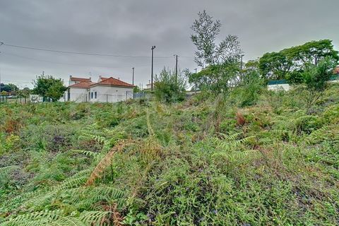 Helårsgrund i Viana do Castelo, Viana do Castelo, Viana do Castelo - € 49.000 | Ref: 2519 - foto 6