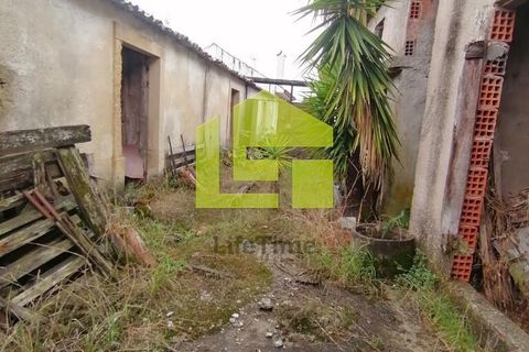 Rækkehus i Miranda do Corvo, Coimbra, Miranda do Corvo - € 35.000 | Ref: LT1272 - foto 21