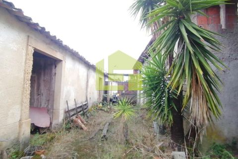 Rækkehus i Miranda do Corvo, Coimbra, Miranda do Corvo - € 35.000 | Ref: LT1272 - foto 22