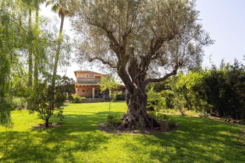 Herregård i Pollenca, Mallorca, Pollenca - € 2 500 000 | Ref: 34600001_ALA/11003 - foto 12