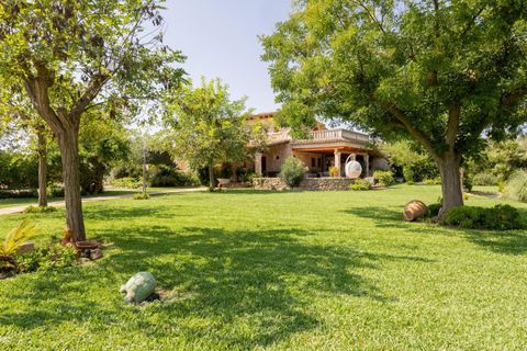 Herregård i Pollenca, Mallorca, Pollenca - € 2 500 000 | Ref: 34600001_ALA/11003 - foto 14
