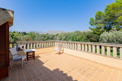 Herregård i Pollenca, Mallorca, Pollenca - € 2 500 000 | Ref: 34600001_ALA/11003 - foto 41