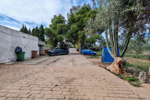 Finca i Inca, Mallorca, Inca - € 750.000 | Ref: FALC-AH-59871 - foto 3