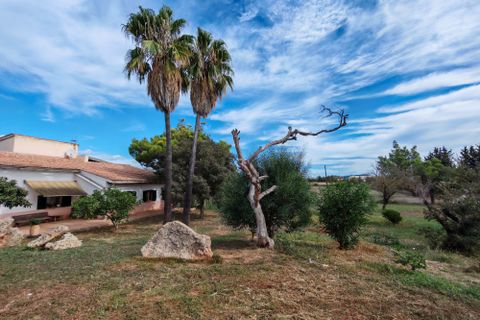Finca i Inca, Mallorca, Inca - € 750.000 | Ref: FALC-AH-59871 - foto 4