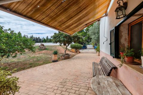 Finca i Inca, Mallorca, Inca - € 750.000 | Ref: FALC-AH-59871 - foto 7