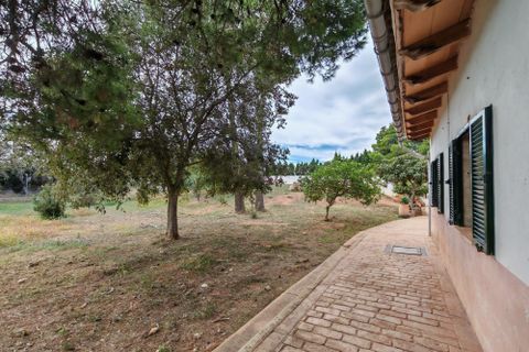 Finca i Inca, Mallorca, Inca - € 750.000 | Ref: FALC-AH-59871 - foto 8