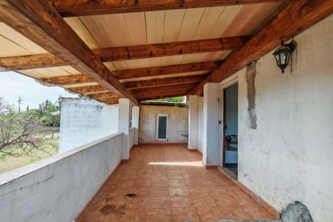 Finca i Inca, Mallorca, Inca - € 750.000 | Ref: FALC-AH-59871 - foto 11