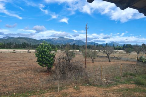 Finca i Inca, Mallorca, Inca - € 750.000 | Ref: FALC-AH-59871 - foto 15