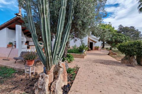 Finca i Inca, Mallorca, Inca - € 750.000 | Ref: FALC-AH-59871 - foto 16