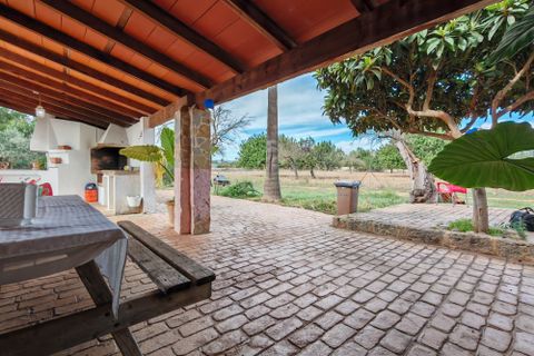 Finca i Inca, Mallorca, Inca - € 750.000 | Ref: FALC-AH-59871 - foto 17