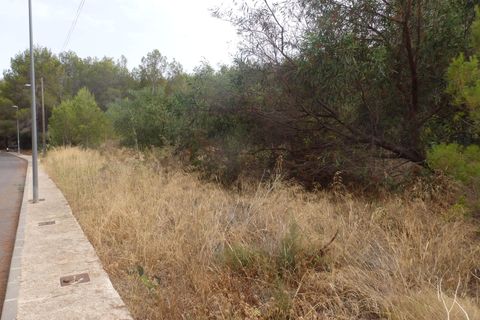 Terra a Altea, Alicante, Altea - € 135.000 | Ref: 4064 - foto 3