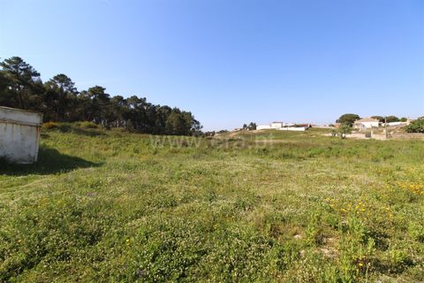 Helårsgrund i Torres Vedras, Lisbon, Torres Vedras - € 400.000 | Ref: 295220077 - foto 4