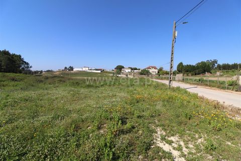 Helårsgrund i Torres Vedras, Lisbon, Torres Vedras - € 400.000 | Ref: 295220077 - foto 5