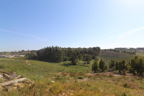 Helårsgrund i Torres Vedras, Lisbon, Torres Vedras - € 400.000 | Ref: 295220077 - foto 6