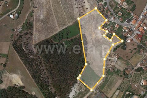 Helårsgrund i Torres Vedras, Lisbon, Torres Vedras - € 400.000 | Ref: 295220077 - foto 8