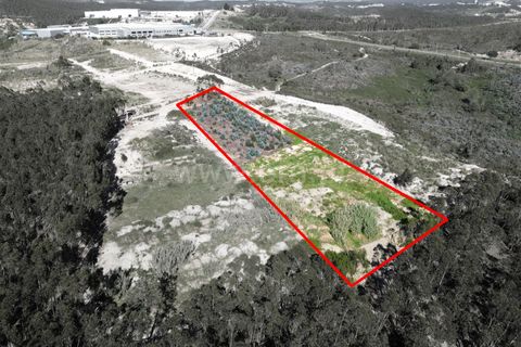 Helårsgrund i Torres Vedras, Lisbon, Torres Vedras - € 115.000 | Ref: 295230087 - foto 1