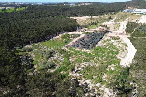 Helårsgrund i Torres Vedras, Lisbon, Torres Vedras - € 115.000 | Ref: 295230087 - foto 2