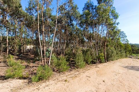 Helårsgrund i Torres Vedras, Lisbon, Torres Vedras - € 115.000 | Ref: 295230087 - foto 10