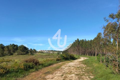 Helårsgrund i Nazare, Leiria, Nazare - € 14.900 | Ref: S4U133-V7 - foto 2
