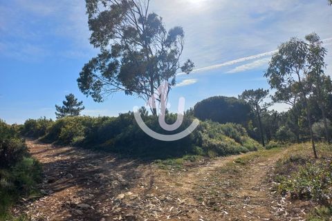 Helårsgrund i Nazare, Leiria, Nazare - € 14.900 | Ref: S4U133-V7 - foto 3