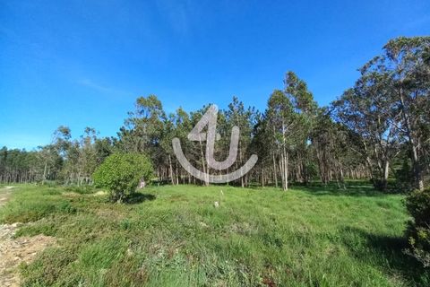 Helårsgrund i Nazare, Leiria, Nazare - € 14.900 | Ref: S4U133-V7 - foto 4