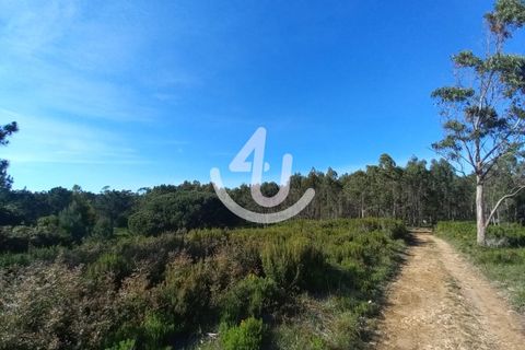Helårsgrund i Nazare, Leiria, Nazare - € 14.900 | Ref: S4U133-V7 - foto 5