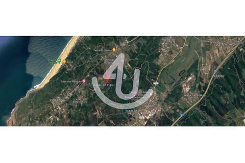 Helårsgrund i Nazare, Leiria, Nazare - € 14.900 | Ref: S4U133-V7 - foto 6
