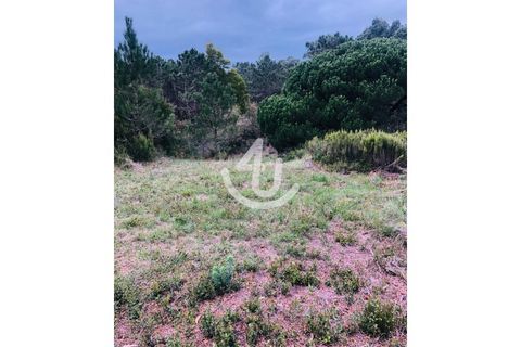 Helårsgrund i Nazare, Leiria, Nazare - € 14.900 | Ref: S4U133-V7 - foto 7
