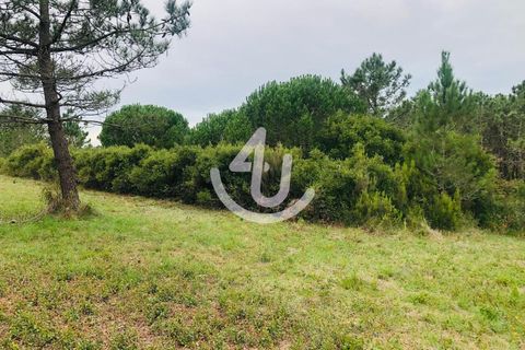 Helårsgrund i Nazare, Leiria, Nazare - € 14.900 | Ref: S4U133-V7 - foto 8