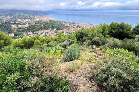 Villa a Roquebrune-Cap-Martin, Alpes-Maritimes, Roquebrune-Cap-Martin - € 2.600.000 | Ref: HH-15540259 - foto 12