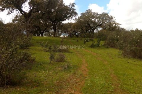 Helårsgrund i Alandroal, Evora, Alandroal - € 35.000 | Ref: C0486-00141 - foto 2