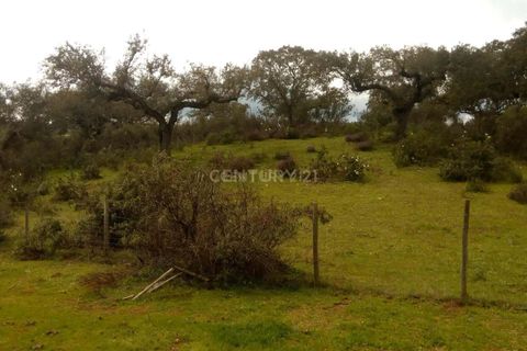 Helårsgrund i Alandroal, Evora, Alandroal - € 35.000 | Ref: C0486-00141 - foto 6