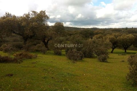 Helårsgrund i Alandroal, Evora, Alandroal - € 35.000 | Ref: C0486-00141 - foto 12
