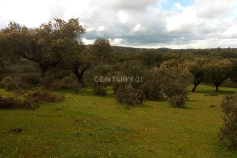 Helårsgrund i Alandroal, Evora, Alandroal - € 35.000 | Ref: C0486-00141 - foto 14