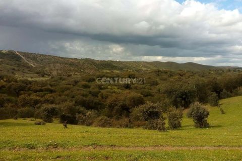 Helårsgrund i Alandroal, Evora, Alandroal - € 35.000 | Ref: C0486-00141 - foto 15
